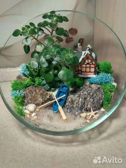 Флорариум на 1 сентября