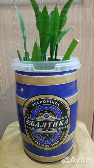 Банка 5 литров