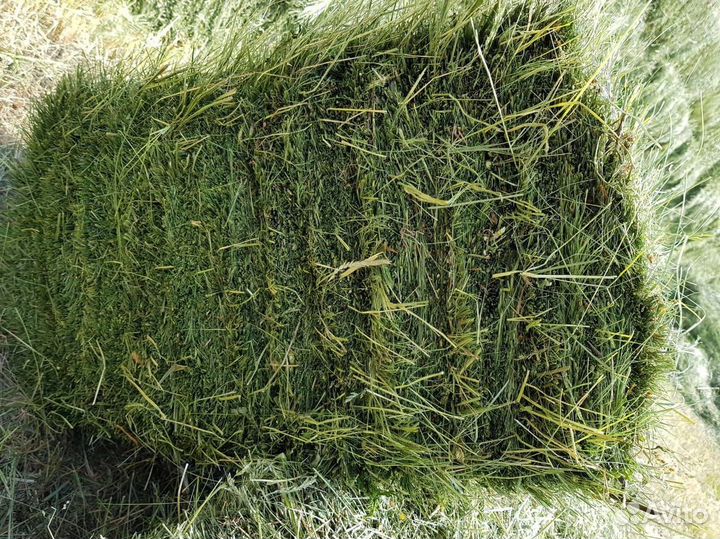 Сено в тюках