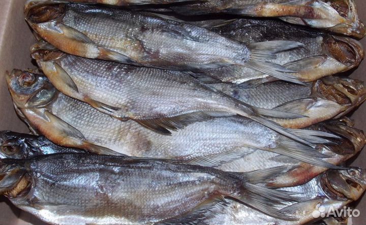 Вяленая рыба (вобла,чехонь,окунь,сорожка,корюшка