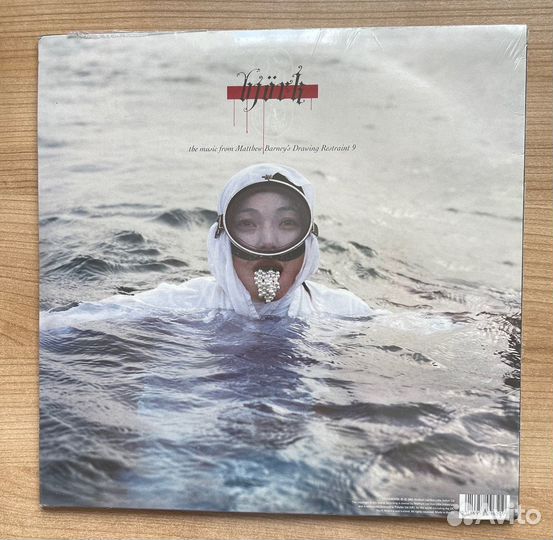 Bjork – The Music From Matthew Barney's Drawing Re