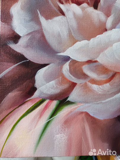 Картина маслом Пионы, 50*70