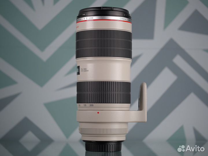 Canon EF 70-200mm f/2.8L IS II USM