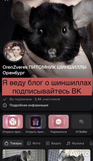 Витрина (клетка) для шиншилл