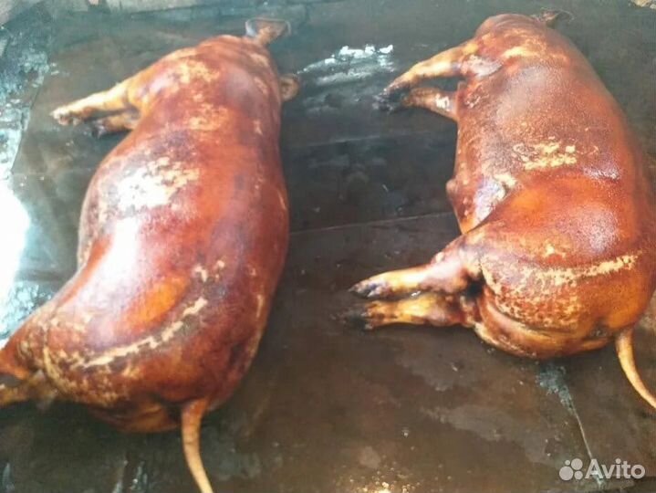 Домашняя свинина