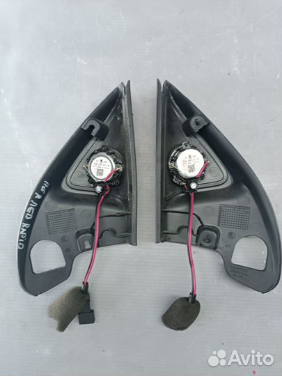 Накладка на дверь Skoda Rapid