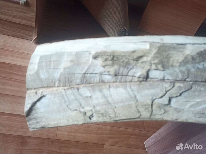 Бивень мамонта