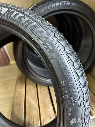 Michelin Pilot Alpin 5 265/35 R21 и 305/30 R21 101V