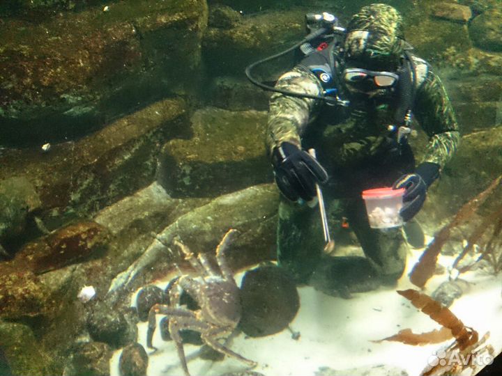 Москвариум билеты