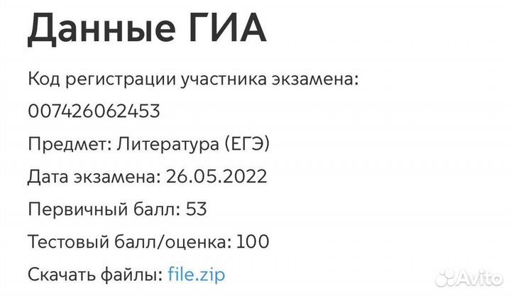 Репетитор по литературе и русскому 1-11 класс