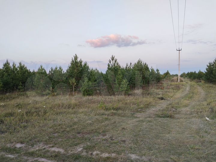 Участок 2 га (СНТ, ДНП)