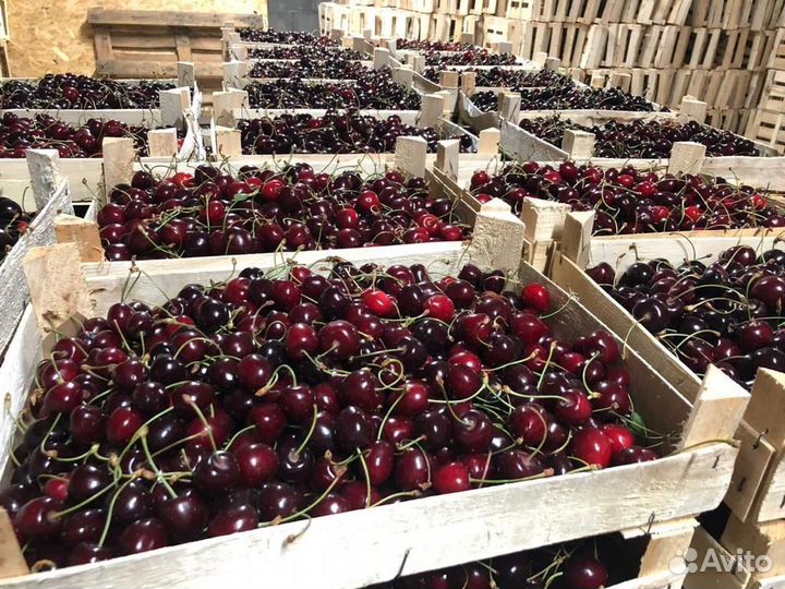 Клубника ягода