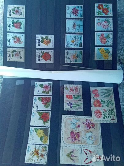 Марки цветы