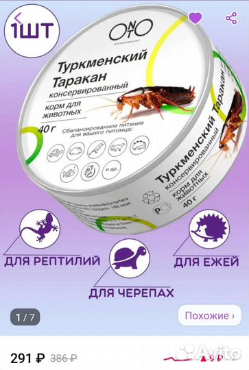 Туркменские тараканы