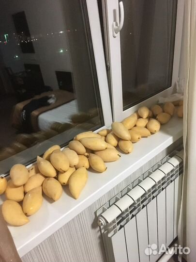 Манго из тайланда