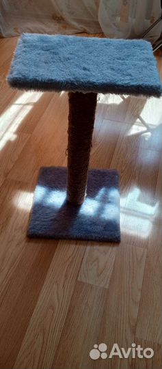 Когтеточка