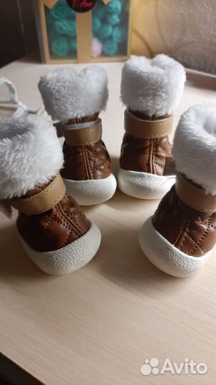 Обувь для собак