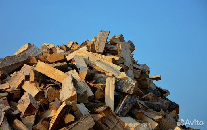 Дрова из леса