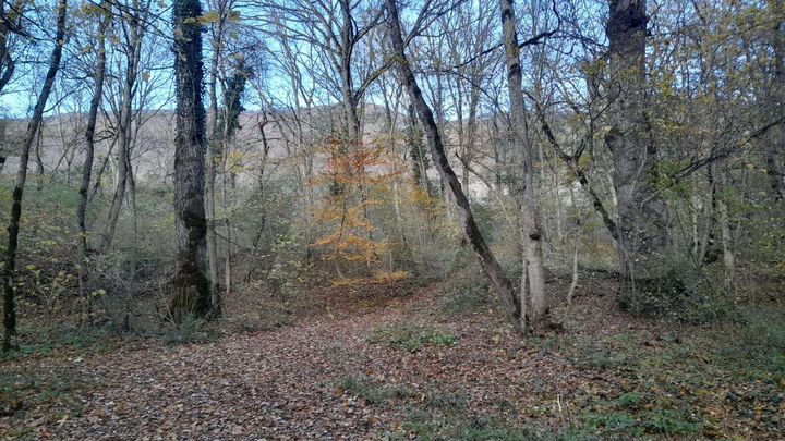 Участок 6 сот. (ИЖС)