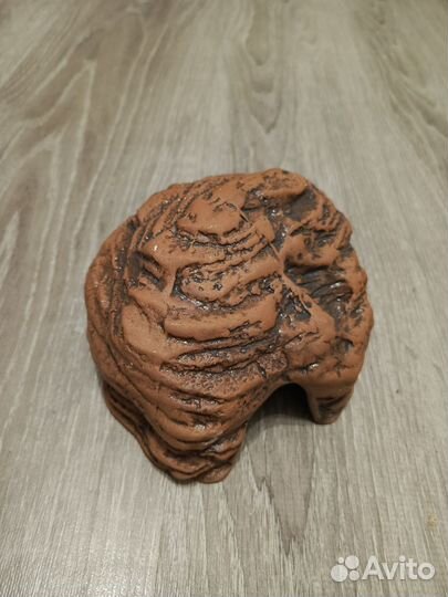 Укрытие, влажная камера, декорация для рептилий