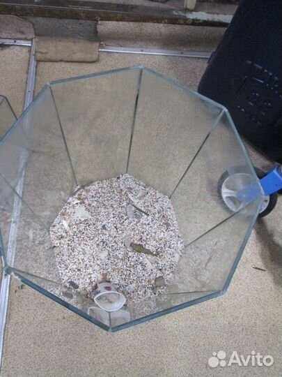 Аквариум 8-ми гранный + камушки и ракушки