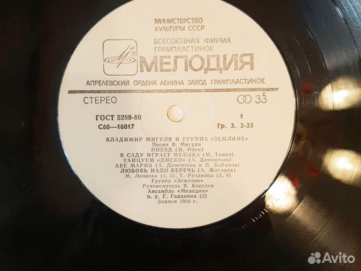 Вячеслав Малежик, Владимир Мигуля и группа Земляне