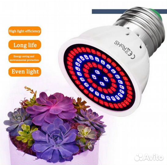Фито лампа для цветов семена