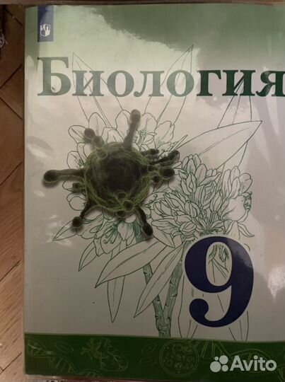 Учебники 9 класс