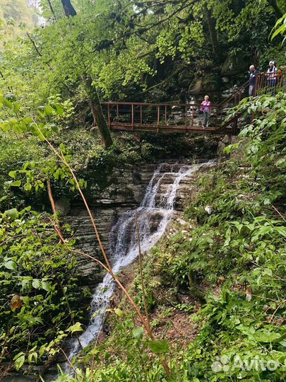 Большое кольцо Тисо-Самшитовой рощи + каньон