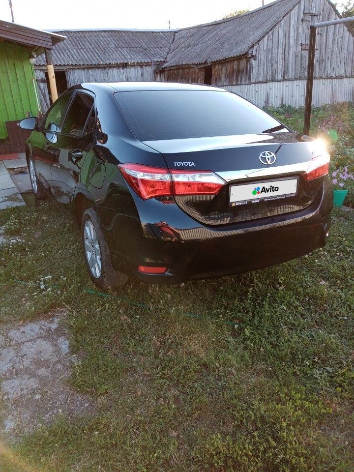 Toyota Corolla: фото владельца