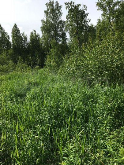 Участок 12 сот. (ИЖС)