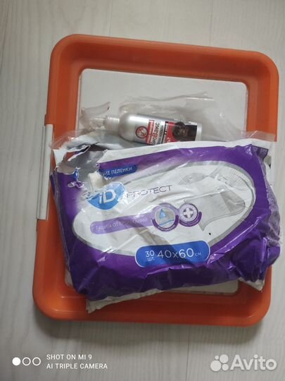 Приучения к Туалету для Собак