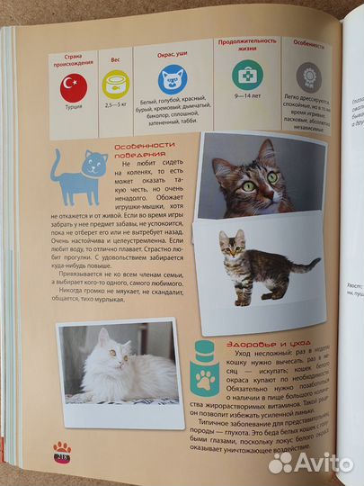 Кошки Большая иллюстрированная энциклопедия