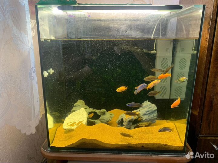 Аквариум