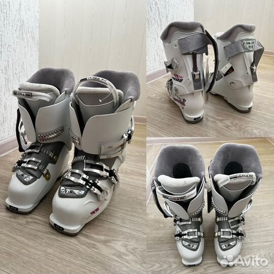 Горные лыжи Fischer, ботинки Tecnica. Комплект