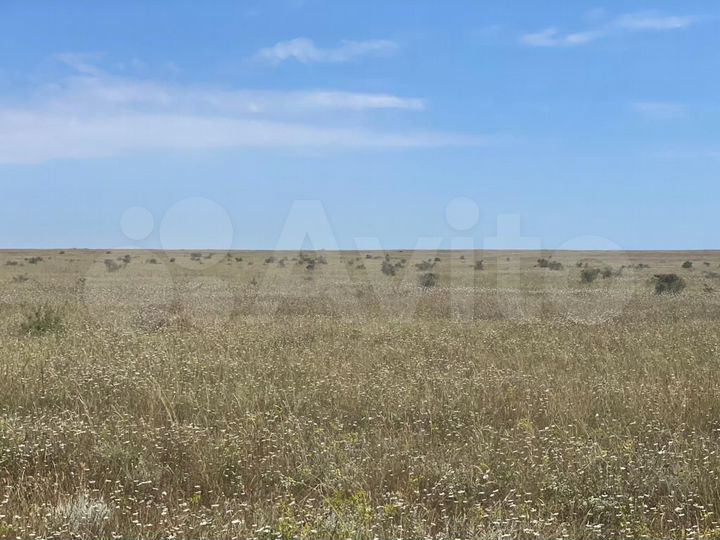 Участок 2,5 га (СНТ, ДНП)