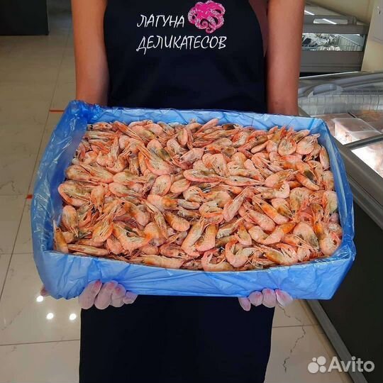 Креветка, крабы, мидии, морепродукты