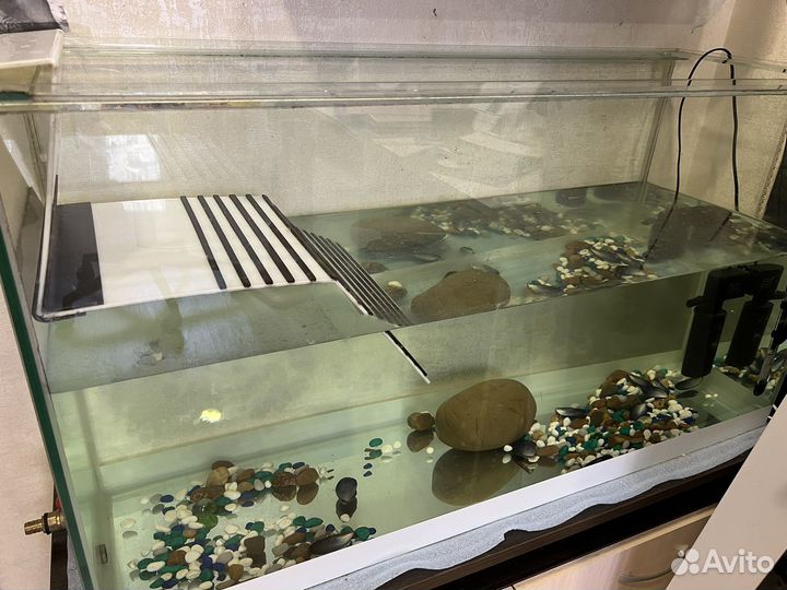 Аквариум для черепах