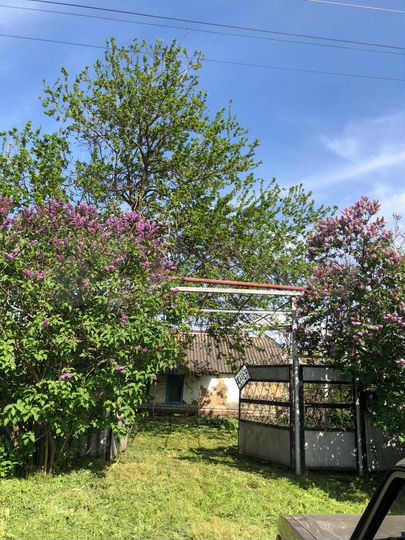 Участок 16 сот. (ИЖС)