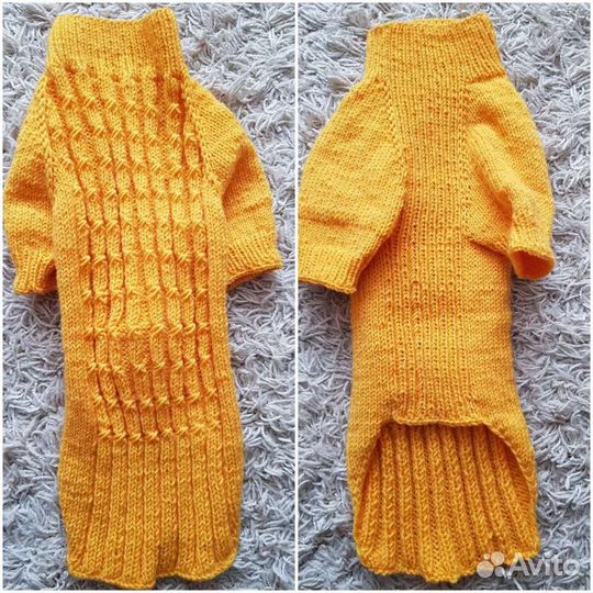 Одежда для собак