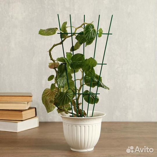 Новые горшки для цветов и кашпо