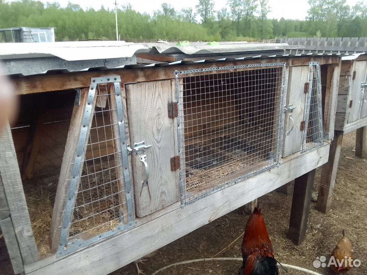 Клетка для кроликов с маточником
