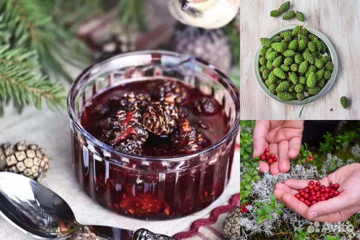 Варенье из сосновых шишек