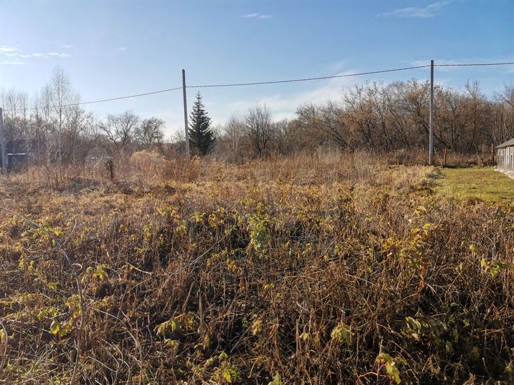 Участок 12 сот. (СНТ, ДНП)