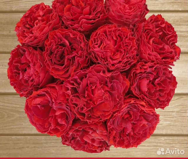 Роза Самарканда