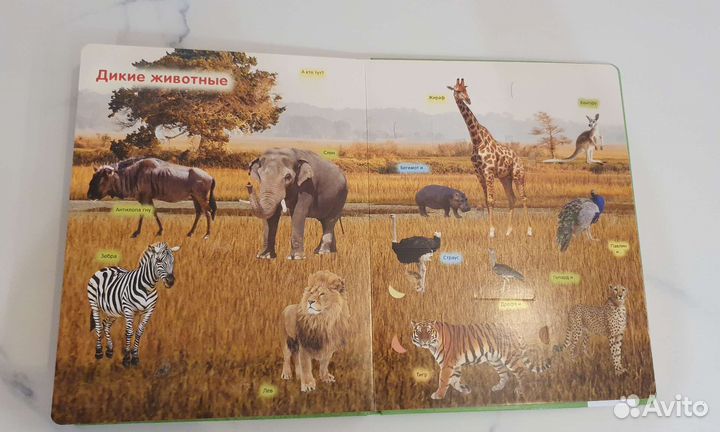 Новая книга с окошками и большая книга для малыша