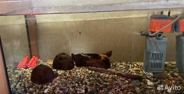 Аквариум 30л