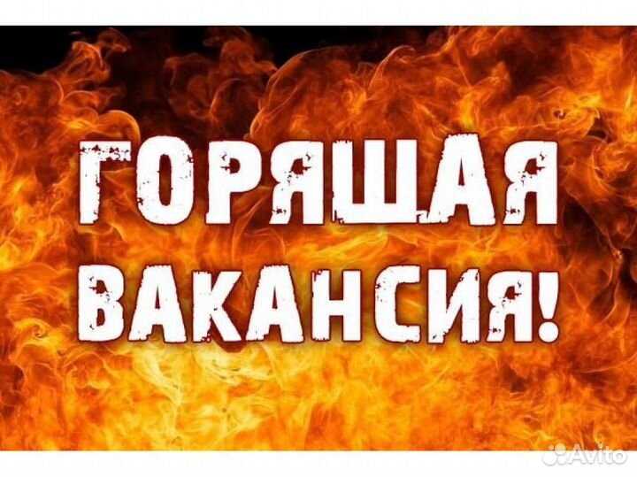 Продавец подработка расчет ежедневный