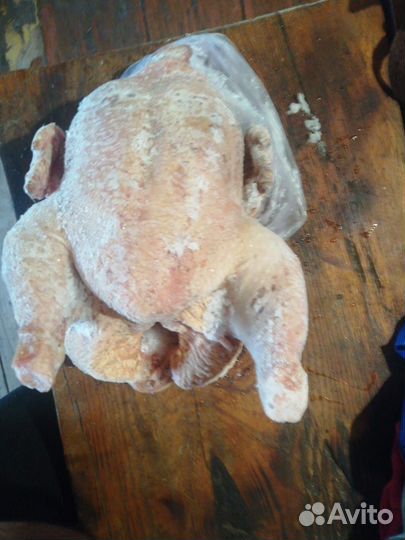 Домашняя Курица / тушка /куриное мясо
