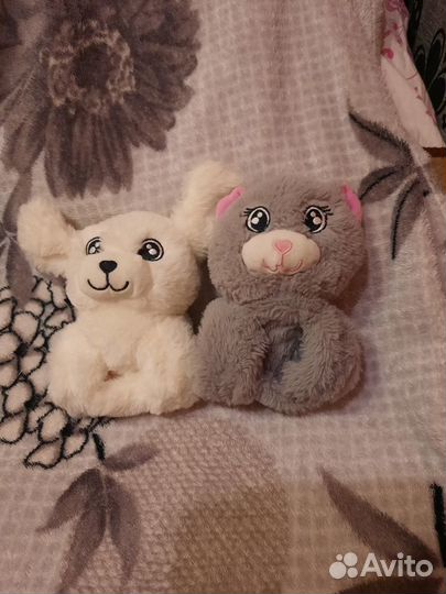 Кот и собачка